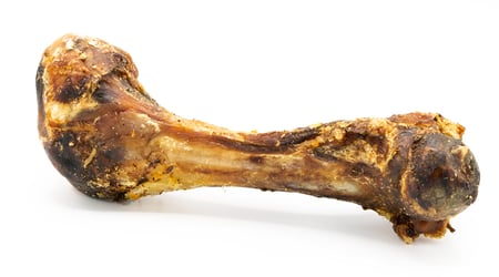 Can dogs eat lamb shank bones top